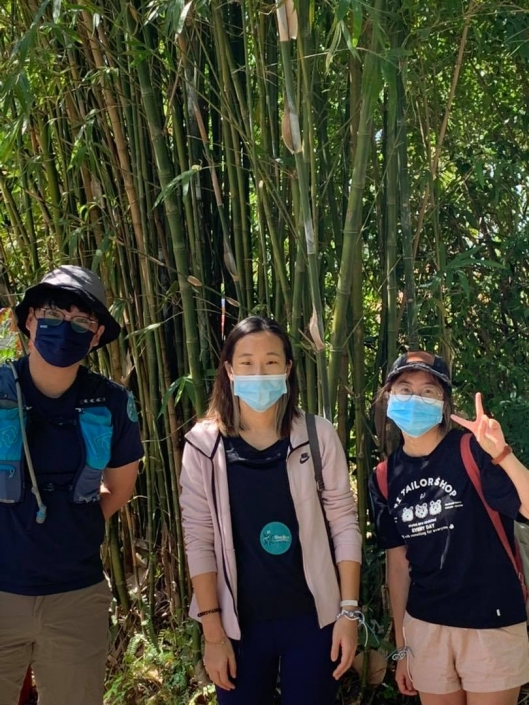 241461591_887420615264667_3404002979527129511_n